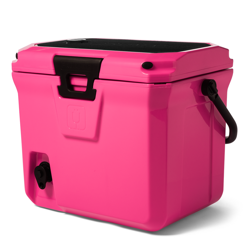 Br Tank 20-Quart Easy-Carry Cooler | Neon Pink - Favorite Picnic