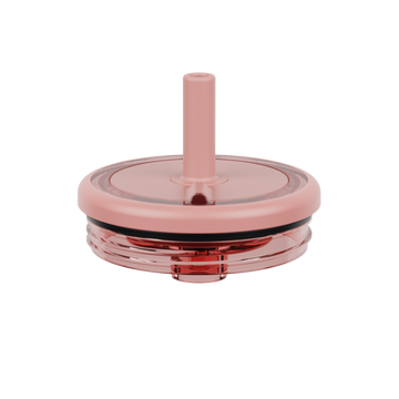 Era Replacement Lid 20oz | Guava - Bright Companion